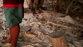 Nye erotik dansk smartphone fanger jamaicanske ferie smukt!