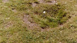 Pandora sex dansk 's klitoris og dino' s pik ud nær portmeirion