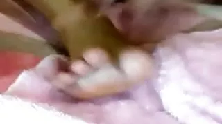 Gratis dansk fisse oje tyrkisk turk