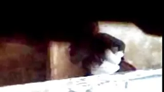 Hold danish porn xxx den fucking 1