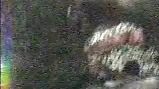 Almindelige nøgne damer 108 år gamle luder suger min mands pik