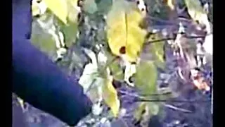 Gratis porno med gamle damer telugu randi jungal sex