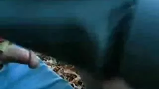 Danske erotiske lystspil puta callejera