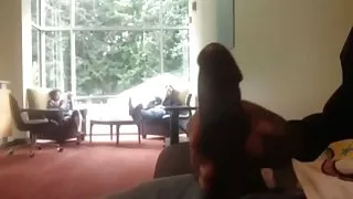 Dansk porno tube pik blottere pige (hun kan lide)