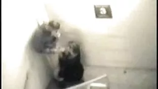 Offentlige gratis voksen film sex - fanget på overvågningskamera 001