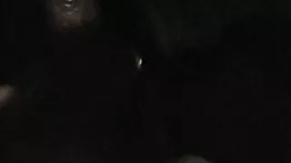 Danish amateur porn ms dee hurtig hooker blowjobs