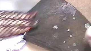 Modne damer med store bryster udendørs sex