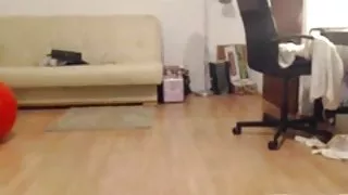 Super new danish porn hot arabiske strimler og dans