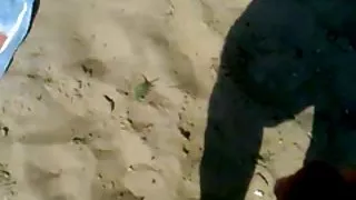 Danske pornofilm gratis jerking på stranden med cumshots. russisk