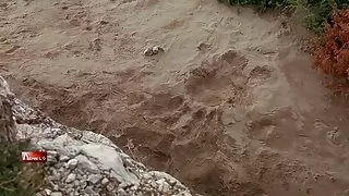 Porno i seks valentina cervi - artemisia