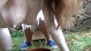 Erotik dansk richtig geil - lactamanija