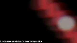 Danske pornovideoer interview med en ladyboy og anal bareback sex