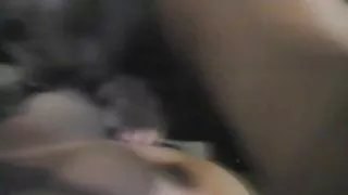 Mexicana danske film porno madura parte 7