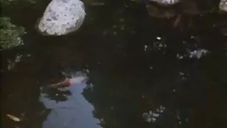 Sex i danske film chinees pige og sexet blondie i klassisk porno film